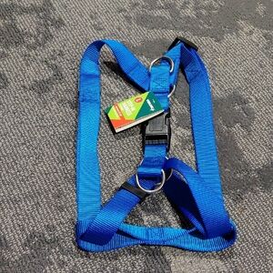 Vibrant Blue Step-In Dog Harness